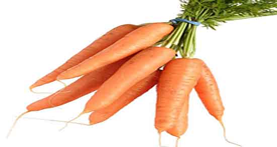 خواص هویج برای تخمدان و فواید مصرف هویج برای تنبلی تخمدان زنان خواص هویج برای تخمدان ؛ فواید مصرف هویج برای تنبلی تخمدان زنان