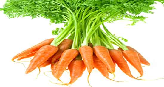 خواص هویج برای چشم و فواید مصرف هویج پخته برای تقویت نور چشم خواص هویج برای چشم ؛ فواید مصرف هویج پخته برای تقویت نور چشم