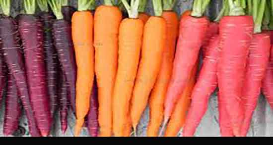 خواص هویج برای کودکان و ایا هویج برای تقویت حافظه کودکان مفیده خواص هویج برای کودکان ؛ ایا هویج برای تقویت حافظه کودکان مفیده