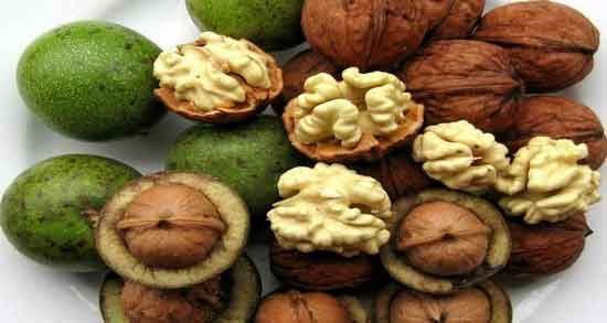 خواص گردو برای زنان و درمان عفونت های زنانه با خوردن مغز گردو خواص گردو برای زنان ؛ درمان عفونت های زنانه با خوردن مغز گردو