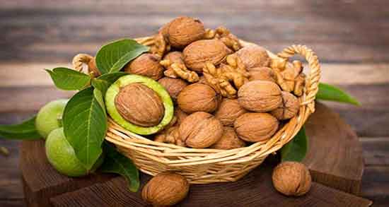 خواص گردو در بدنسازی و خاصیت مصرف گردو برای تامین انرژی بدنسازان خواص گردو در بدنسازی ؛ خاصیت مصرف گردو برای تامین انرژی بدنسازان