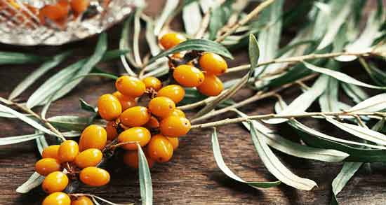 خواص گل سنجد برای بارداری و آشنایی با خاصیت خوردن گل سنجد برای زن باردار خواص گل سنجد برای بارداری ؛ آشنایی با خاصیت خوردن گل سنجد برای زن باردار