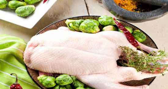 خواص گوشت خروس در طب سنتی و اهمیت مصرف گوشت خروس از نظر طب سنتی خواص گوشت خروس در طب سنتی ؛ اهمیت مصرف گوشت خروس از نظر طب سنتی