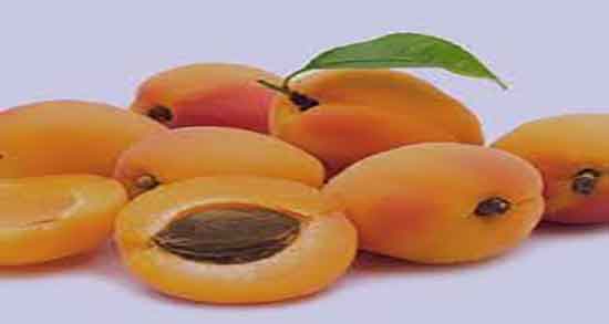 دفع هسته زردآلو و مضرات قورت دادن ناگهانی هسته زردآلو چیست دفع هسته زردآلو ؛ مضرات قورت دادن ناگهانی هسته زردآلو چیست