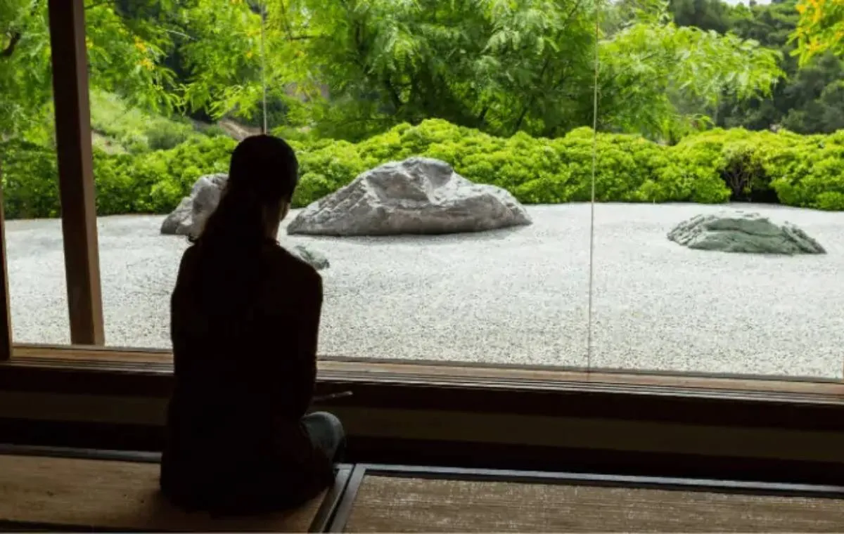 راهنمای جامع مدیتیشن بودایی، اصول، تکنیک ها و فواید این روش برای آرامش راهنمای جامع مدیتیشن بودایی، اصول، تکنیک ها و فواید این روش برای آرامش