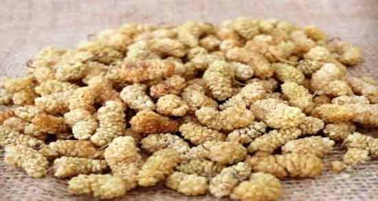 طبع توت خشک و آشنایی با خواص درمانی و طبع توت خشک طبع توت خشک ؛ آشنایی با خواص درمانی و طبع توت خشک