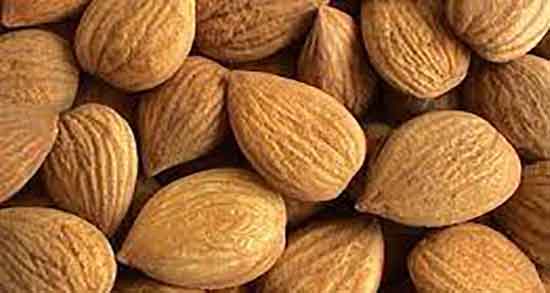 طبع هسته زردآلو و طبیعت هسته زردآلو در طب اسلام گرم است یا سرد طبع هسته زردآلو ؛ طبیعت هسته زردآلو در طب اسلام گرم است یا سرد