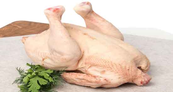 طبع گوشت خروس در طب سنتی و آشنایی با طبع گوشت خروس طبع گوشت خروس در طب سنتی ؛ آشنایی با طبع گوشت خروس