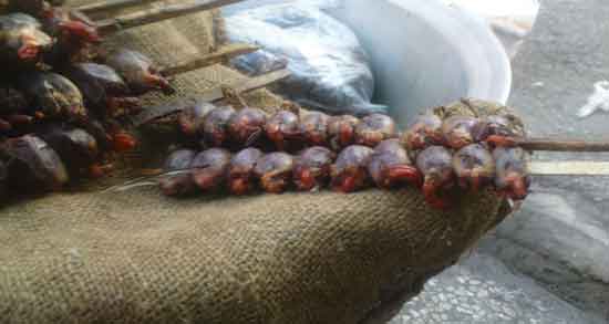 طرز پخت گوشت گنجشک و معرفی دستور ساده برای پختن گوشت گنجشک طرز پخت گوشت گنجشک ؛ معرفی دستور ساده برای پختن گوشت گنجشک