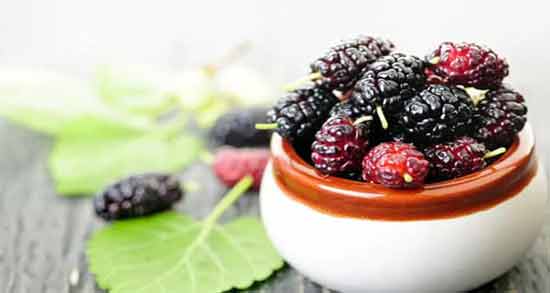 عوارض توت سیاه و مصرف بیش از اندازه توت سیاه چه عوارضی برای سلامتی ایجاد می کند عوارض توت سیاه ؛ مصرف بیش از اندازه توت سیاه چه عوارضی برای سلامتی ایجاد می کند