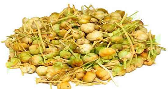 فواید اسپند خوردن ؛ همه چیز درباره خاصیت دارویی و درمانی اسپند خوراکی برای بیماری ها فواید اسپند خوردن ؛ همه چیز درباره خاصیت دارویی و درمانی اسپند خوراکی برای بیماری ها