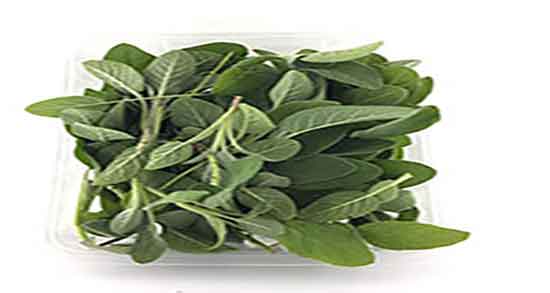 فواید مریم گلی برای دیابت و خاصیت مریم گلی برای کنترل قند خون فواید مریم گلی برای دیابت ؛ خاصیت مریم گلی برای کنترل قند خون