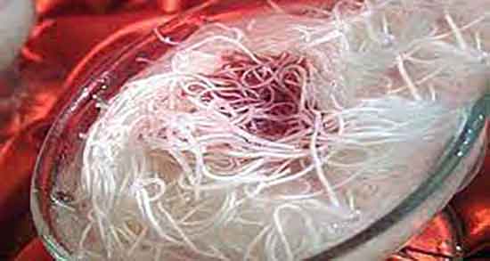 فواید نشاسته در بدنسازی و خواص نشاسته ذرت در دوران بدنسازی فواید نشاسته در بدنسازی ؛ خواص نشاسته ذرت در دوران بدنسازی