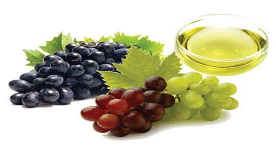 فواید هسته انگور برای پوست ؛ خواص هسته انگور برای پوست خشک فواید هسته انگور برای پوست ؛ خواص هسته انگور برای پوست خشک