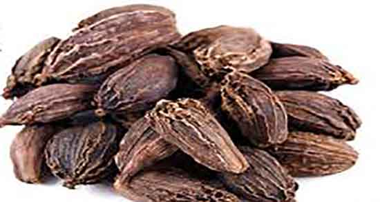 فواید هل برای تخمدان و خواص مصرف هل برای کیست تخمدان فواید هل برای تخمدان ؛ خواص مصرف هل برای کیست تخمدان