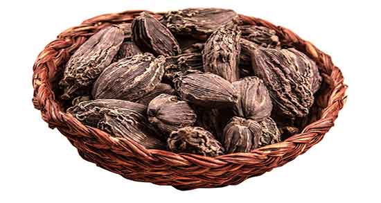 فواید هلیله سیاه برای معده و خواص مصرف هلیله سیاه برای اسید معده فواید هلیله سیاه برای معده ؛ خواص مصرف هلیله سیاه برای اسید معده