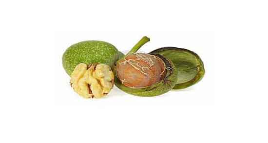 فواید گردو تازه و همه چیز درباره خواص درمانی گردو تازه برای سلامتی فواید گردو تازه ؛ همه چیز درباره خواص درمانی گردو تازه برای سلامتی