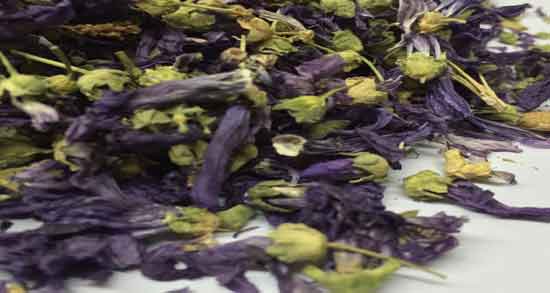 فواید گل گاوزبان برای کودکان ؛ آیا خوردن گل گاوزبان برای کودک مفید است؟ فواید گل گاوزبان برای کودکان ؛ آیا خوردن گل گاوزبان برای کودک مفید است؟