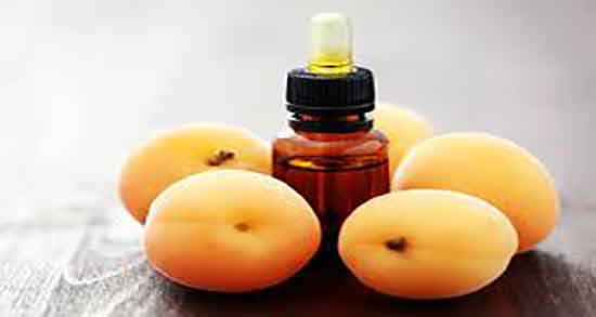 مضرات خوردن هسته زردآلو و عوارض هسته زردالو برای معده کودکان مضرات خوردن هسته زردآلو ؛ عوارض هسته زردالو برای معده کودکان