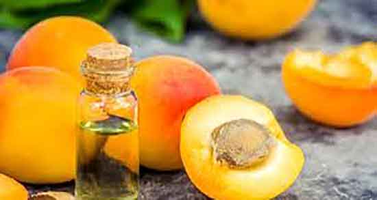 مضرات هسته زردآلو تلخ و عوارض مصرف هسته زردالو تلخ چیست مضرات هسته زردآلو تلخ ؛ عوارض مصرف هسته زردالو تلخ چیست