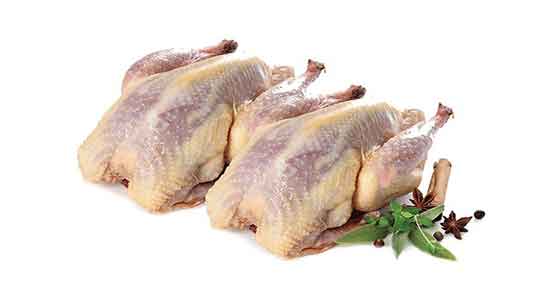 مضرات گوشت خروس و مصرف گوشت خروس چه ضرری برای بدن دارد مضرات گوشت خروس ؛ مصرف گوشت خروس چه ضرری برای بدن دارد