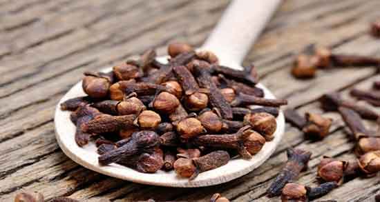 میخک در شیردهی و ایا مصرف میخک در دوران شیردهی مفیده میخک در شیردهی ؛ ایا مصرف میخک در دوران شیردهی مفیده