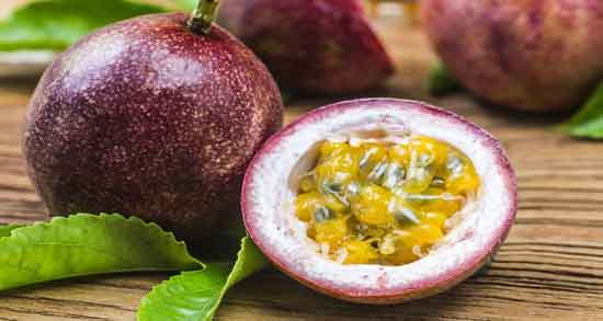 میوه گل ساعتی و آشنایی با خواص و ویژگی های میوه گل ساعتی میوه گل ساعتی ؛ آشنایی با خواص و ویژگی های میوه گل ساعتی