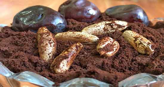 هسته خرما برای فشار خون و تنظیم فشار خون بالا با خوردن هسته خرما هسته خرما برای فشار خون ؛ تنظیم فشار خون بالا با خوردن هسته خرما