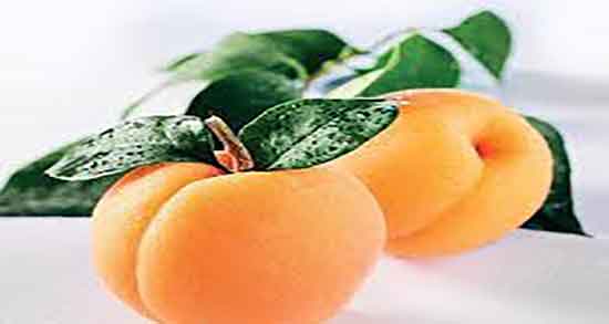 هسته زردآلو برای چی خوبه و خاصیت هسته زردالو برای نفخ معده هسته زردآلو برای چی خوبه ؛ خاصیت هسته زردالو برای نفخ معده