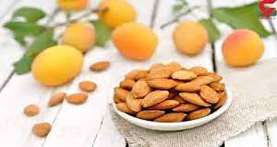 هسته زردآلو و یبوست و خاصیت مصرف هسته زردالو برای یبوست هسته زردآلو و یبوست ؛ خاصیت مصرف هسته زردالو برای یبوست