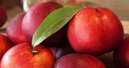 هلو برای نوزاد و پوره میوه هلو برای نوزاد شش ماهه و تاثیر ان در رشد هلو برای نوزاد ؛ پوره میوه هلو برای نوزاد شش ماهه و تاثیر ان در رشد