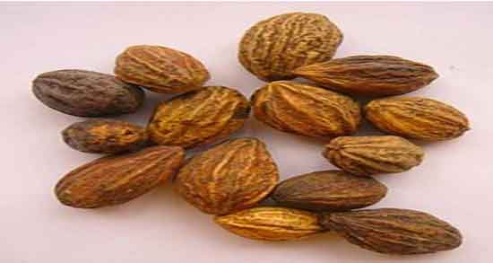 هلیله سیاه و یبوست و طریقه مصرف هلیله سیاه برای یبوست کودکان هلیله سیاه و یبوست ؛ طریقه مصرف هلیله سیاه برای یبوست کودکان