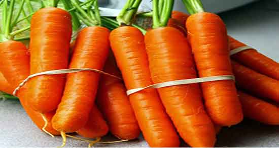 هویج و نازایی و ایا مصرف هویج برای درمان نازایی زنان مفیده یا نه هویج و نازایی ؛ ایا مصرف هویج برای درمان نازایی زنان مفیده یا نه