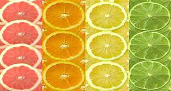 ویتامین ث در چه چیزهایی وجود دارد و ویتامین ث در چه میوه ای هست ویتامین ث در چه چیزهایی وجود دارد ؛ ویتامین ث در چه میوه ای هست