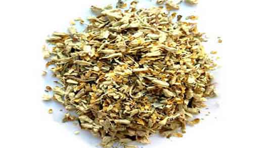 گل سنجد برای حساسیت و درمان آلرژی و حساسیت با گل سنجد گل سنجد برای حساسیت ؛ درمان آلرژی و حساسیت با گل سنجد