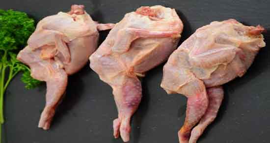 گوشت خروس و زردی نوزاد و کم شدن زردی نوزاد با مصرف گوشت خروس گوشت خروس و زردی نوزاد ؛ کم شدن زردی نوزاد با مصرف گوشت خروس