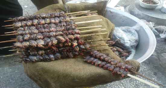 گوشت گنجشک حرام است و خوردن گوشت گنجشک حلال است یا حرام؟ گوشت گنجشک حرام است ؛ خوردن گوشت گنجشک حلال است یا حرام؟