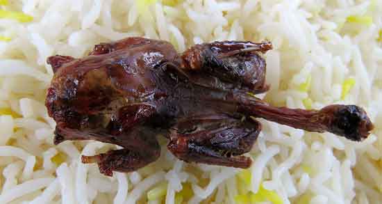 گوشت گنجشک حلال است و از نظر دین اسلام خوردن گوشت گنجشک حلال است یا حرام؟ گوشت گنجشک حلال است ؛ از نظر دین اسلام خوردن گوشت گنجشک حلال است یا حرام؟